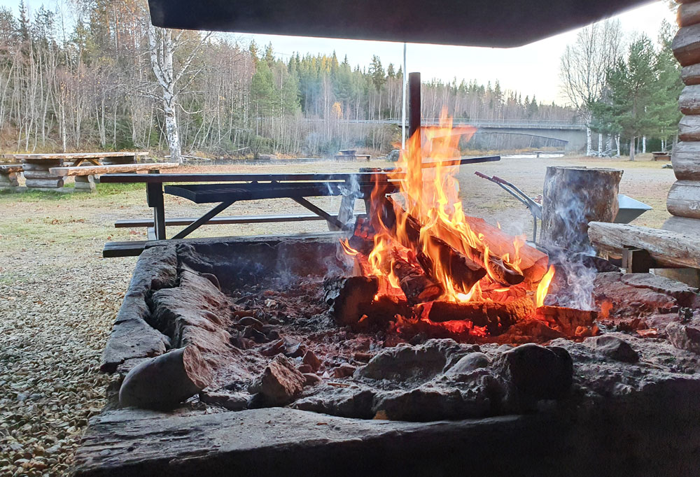 julgransbollar, julgran